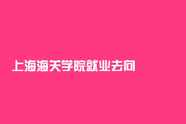 上海海关学院就业去向