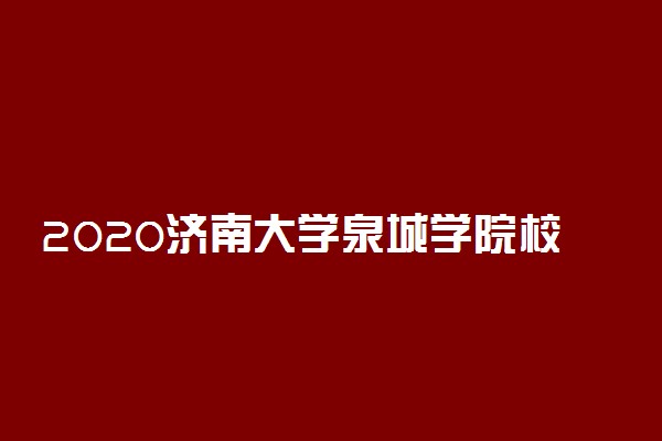 2020济南大学泉城学院校考地点及招生计划