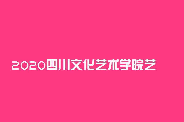 2020四川文化艺术学院艺术类专业省外招生简章