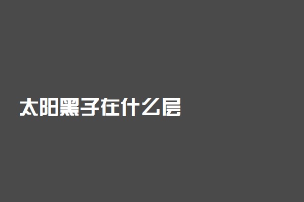 太阳黑子在什么层