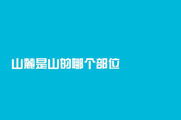 山麓是山的哪个部位