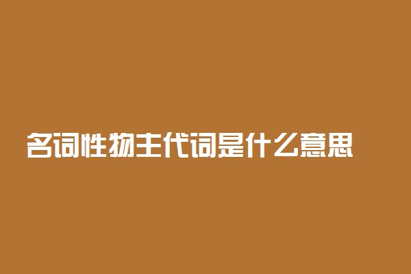 名词性物主代词是什么意思