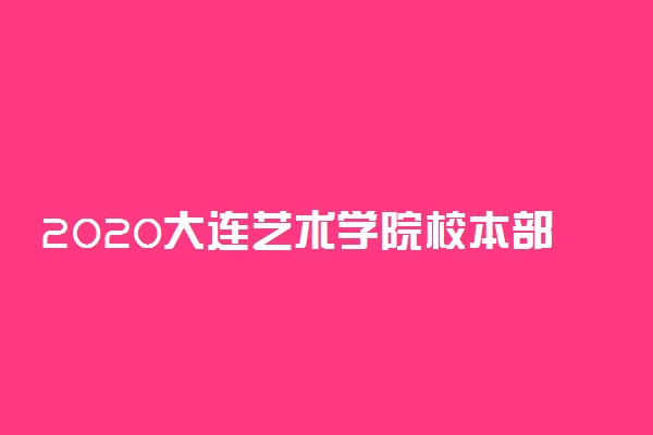 2020大连艺术学院校本部校考报名时间