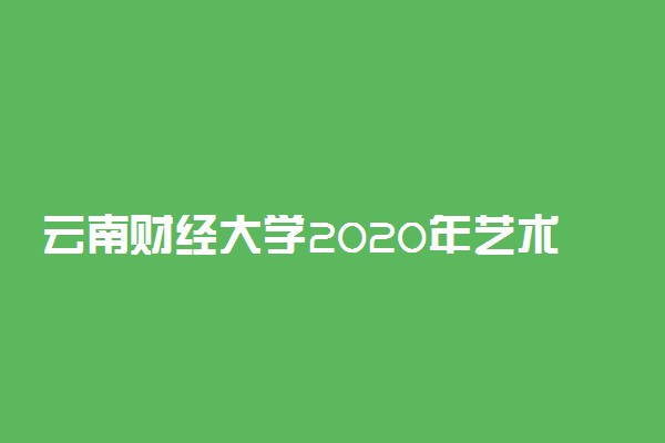 云南财经大学2020年艺术类招生简章