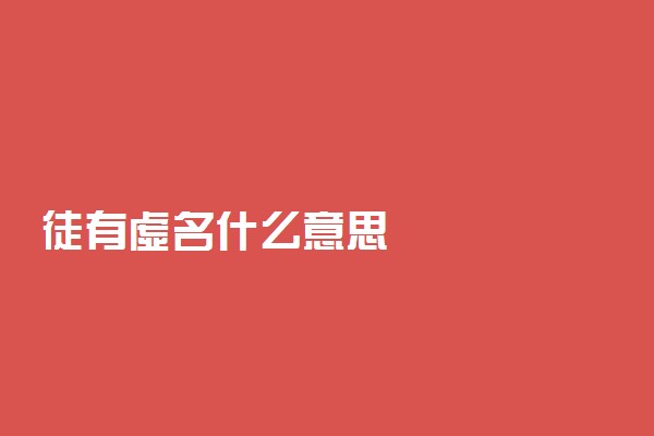 徒有虚名什么意思