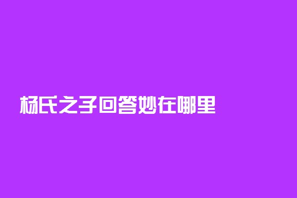 杨氏之子回答妙在哪里