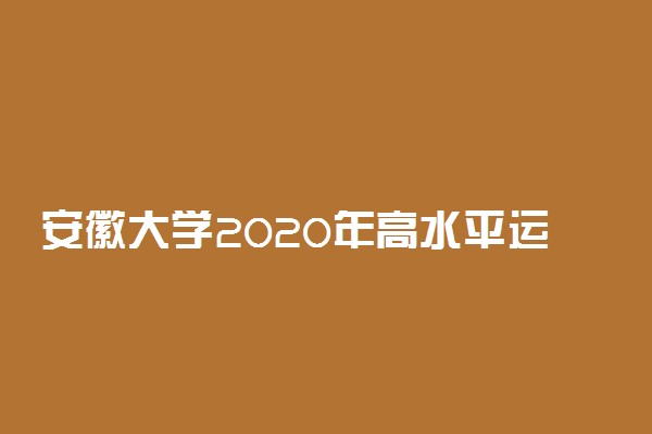 安徽大学2020年高水平运动队招生简章