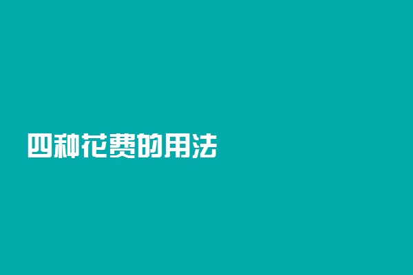 四种花费的用法