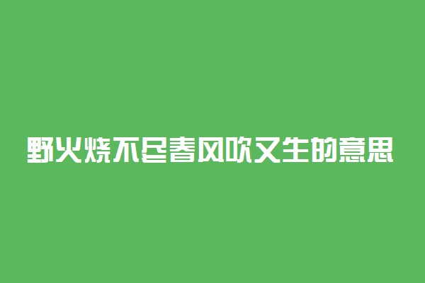 野火烧不尽春风吹又生的意思及出处