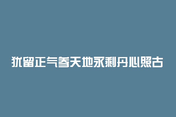 犹留正气参天地永剩丹心照古今写的是谁及简介