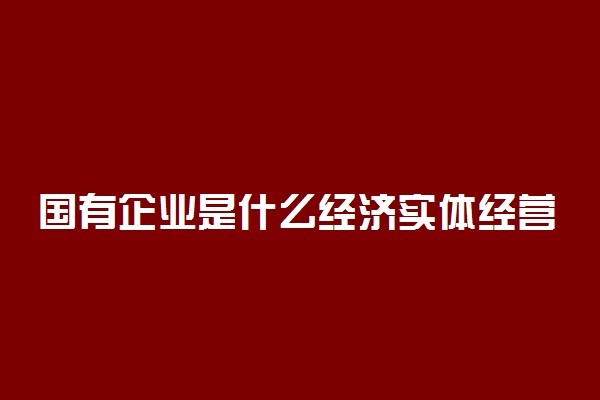 国有企业是什么经济实体经营