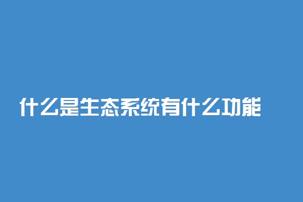 什么是生态系统有什么功能