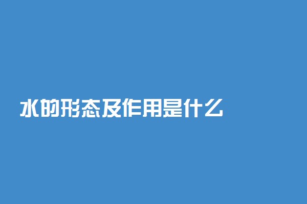 水的形态及作用是什么
