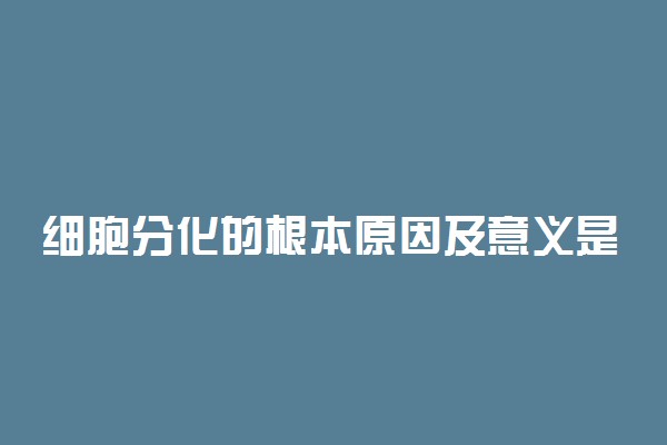 细胞分化的根本原因及意义是什么