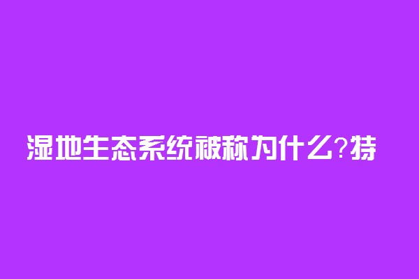 湿地生态系统被称为什么？特征是什么？