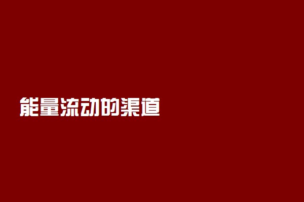能量流动的渠道
