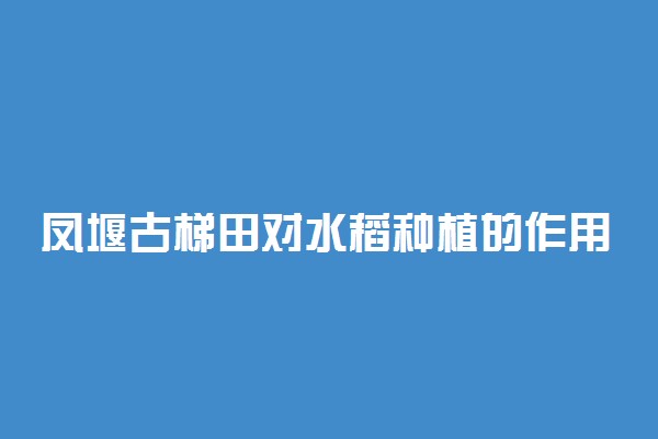 凤堰古梯田对水稻种植的作用