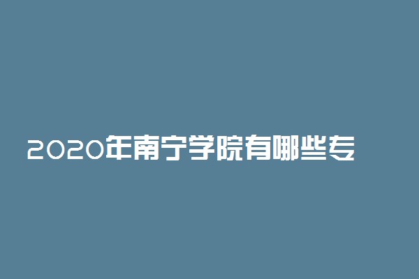 2020年南宁学院有哪些专业