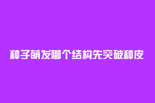 种子萌发哪个结构先突破种皮