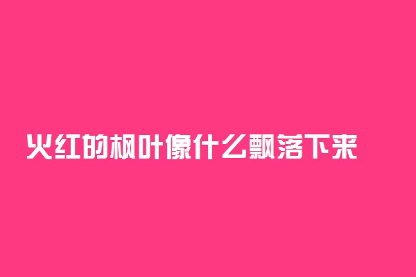 火红的枫叶像什么飘落下来