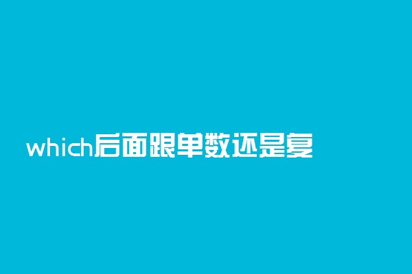 which后面跟单数还是复数
