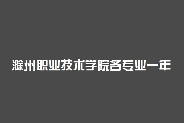 滁州职业技术学院各专业一年学费多少钱