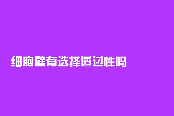 细胞壁有选择透过性吗