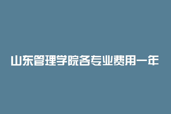 山东管理学院各专业费用一年多少钱