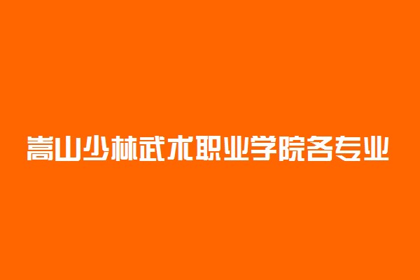 嵩山少林武术职业学院各专业收费标准汇总