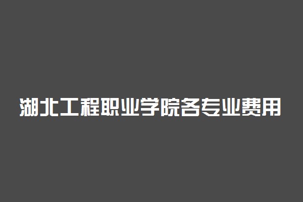 湖北工程职业学院各专业费用一年多少钱