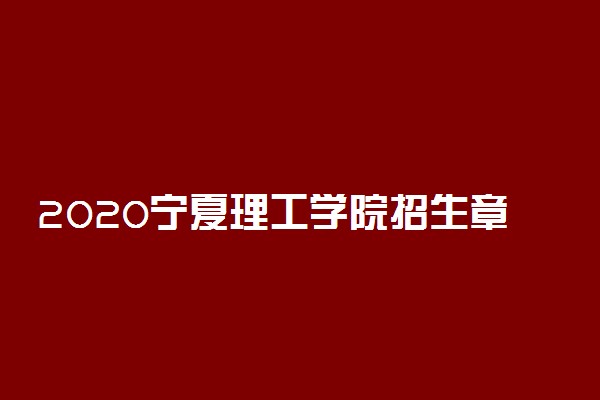 2020宁夏理工学院招生章程