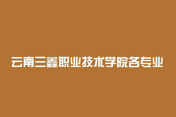 云南三鑫职业技术学院各专业收费标准一年多少钱