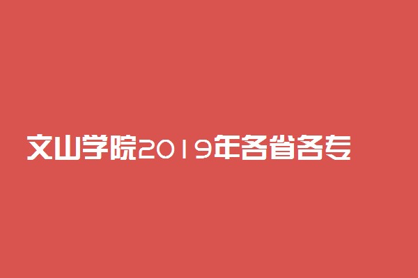 文山学院2019年各省各专业录取分数线