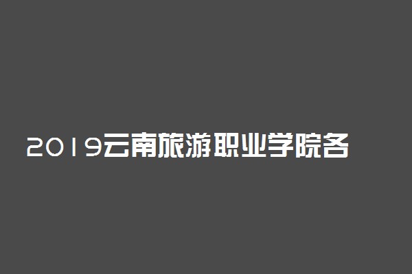 2019云南旅游职业学院各专业录取分数线汇总