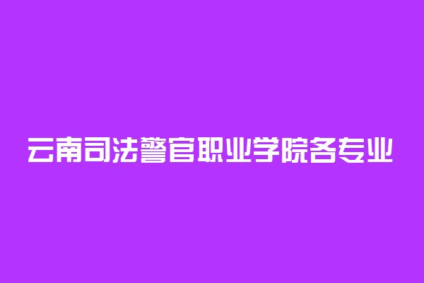 云南司法警官职业学院各专业收费标准汇总