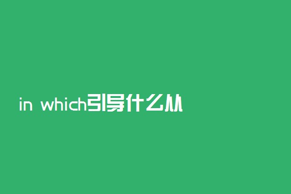 in which引导什么从句