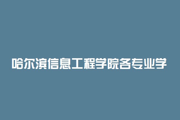 哈尔滨信息工程学院各专业学费是多少