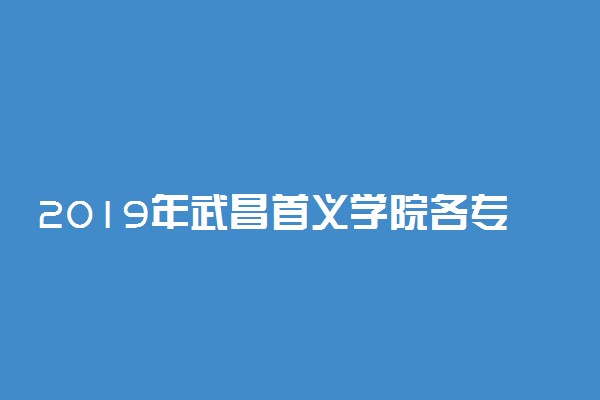 2019年武昌首义学院各专业录取分数线