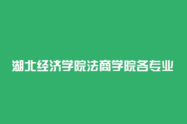 湖北经济学院法商学院各专业收费标准一年多少钱