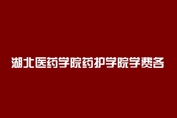 湖北医药学院药护学院学费各专业收费标准