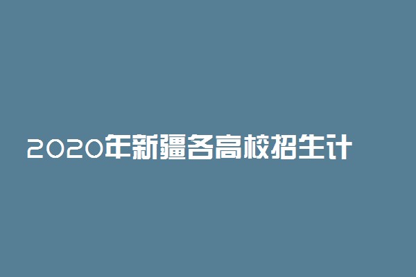 2020年新疆各高校招生计划汇总