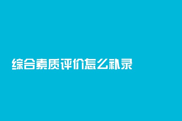 综合素质评价怎么补录