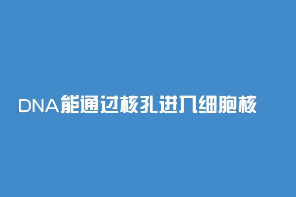 DNA能通过核孔进入细胞核吗