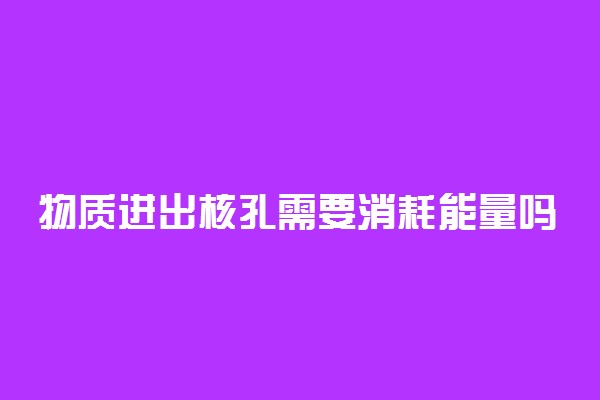 物质进出核孔需要消耗能量吗