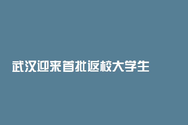 武汉迎来首批返校大学生