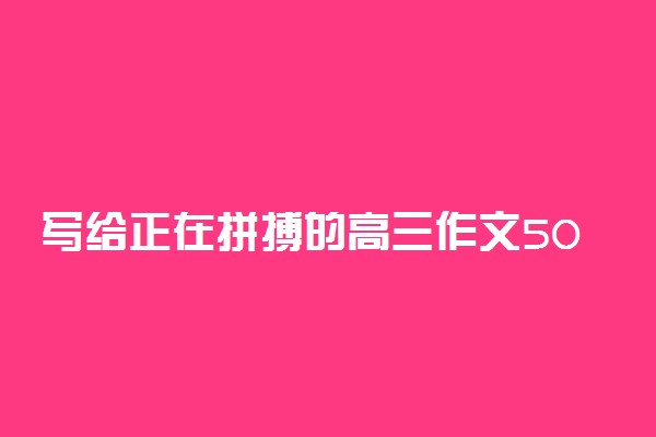 写给正在拼搏的高三作文500字