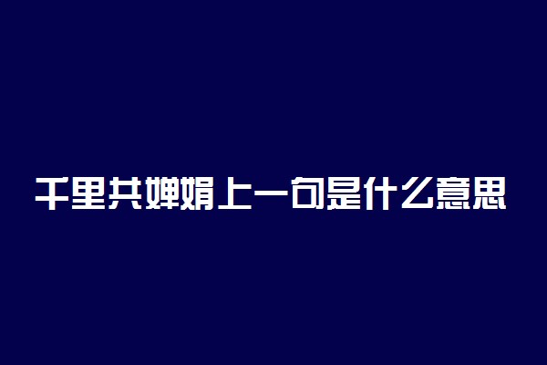 千里共婵娟上一句是什么意思