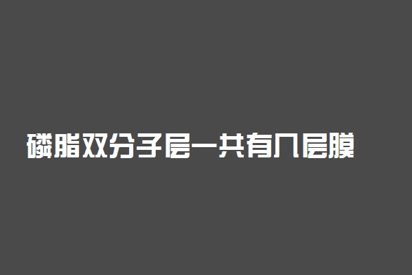 磷脂双分子层一共有几层膜