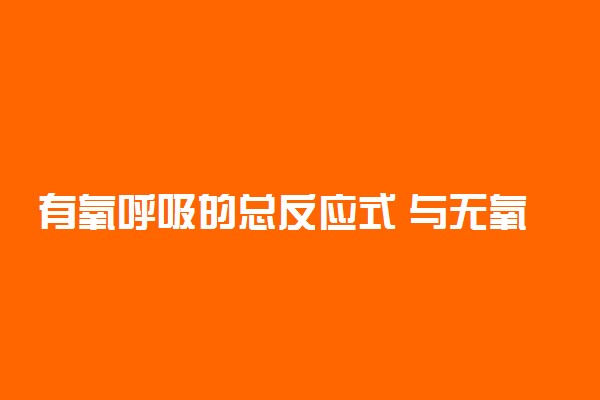有氧呼吸的总反应式 与无氧呼吸的区别
