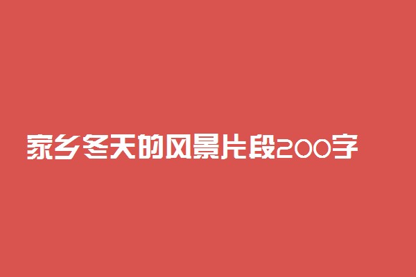 家乡冬天的风景片段200字三篇